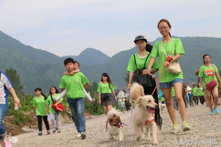 镜头故事：宠物乡间跑扮靓黔北桐梓旅游