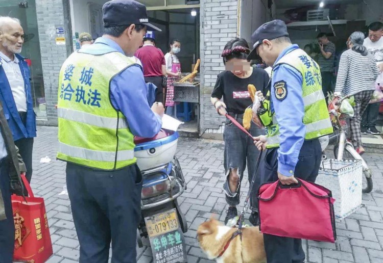 严管重罚！金华将对这些不文明养犬行为顶格处罚！将推宠物犬芯片