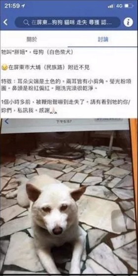 柴犬跑进警察局找主人才吃完一碗狗粮警察蜀黍就找回了主人